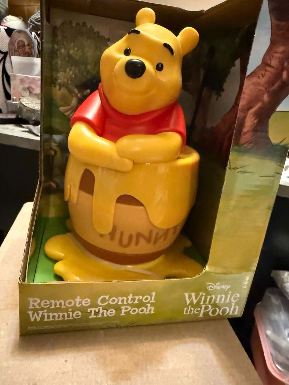 RC Remote Control Disney Winnie the Pooh